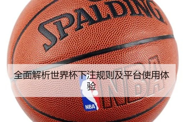 全面解析世界杯下注规则及平台使用体验