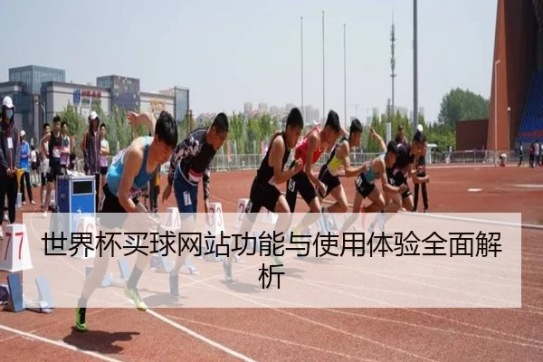 世界杯买球网站功能与使用体验全面解析